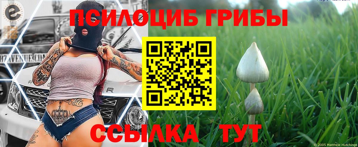 Галлюциногенные грибы Psilocybe  Вход с VPN  Всеволожск 