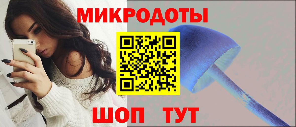 Псилоцибиновые грибы Psilocybe Всеволожск